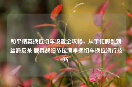和平精英换位切车设置全攻略，从手忙脚乱到丝滑反杀 载具战细节拉满掌握切车换位滑行技巧