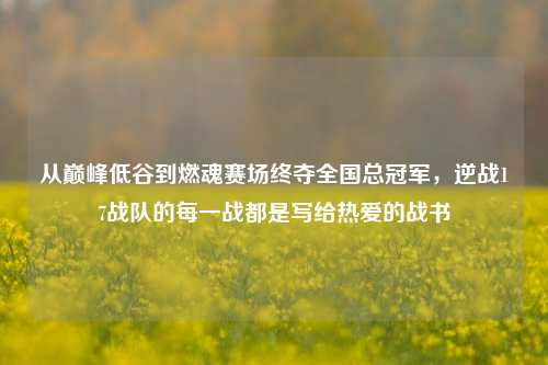 从巅峰低谷到燃魂赛场终夺全国总冠军,逆战17战队的每一战都是写给热爱的战书