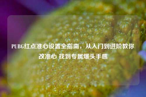 PUBG红点准心设置全指南，从入门到进阶教你改准心 找到专属爆头手感