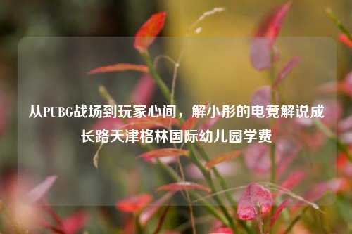 从PUBG战场到玩家心间，解小彤的电竞解说成长路天津格林国际幼儿园学费