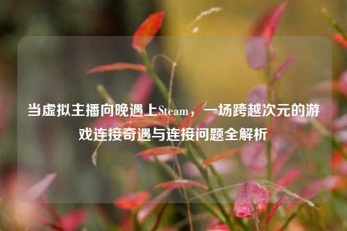 当虚拟主播向晚遇上Steam,一场跨越次元的游戏连接奇遇与连接问题全解析