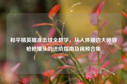 和平精英瞄准击球全教学，从人体描边大师到枪枪爆头的进阶指南及视频合集
