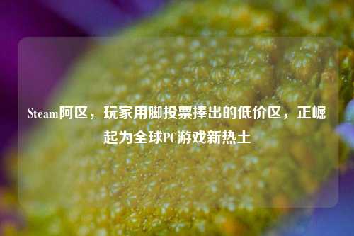 Steam阿区，玩家用脚投票捧出的低价区，正崛起为全球PC游戏新热土