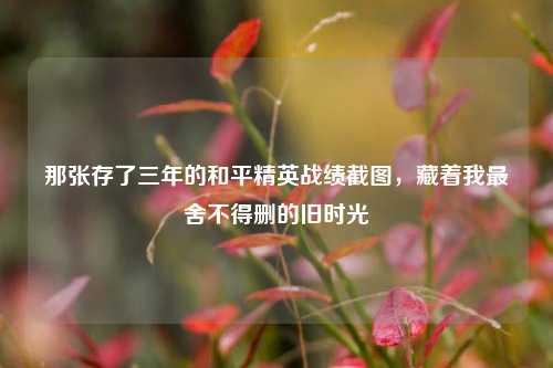 那张存了三年的和平精英战绩截图，藏着我最舍不得删的旧时光