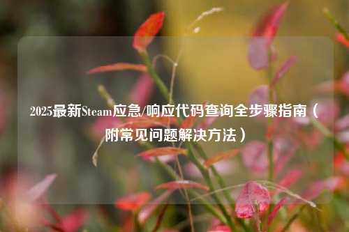 2025最新Steam应急/响应代码查询全步骤指南（附常见问题解决方法）