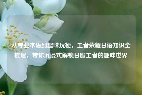 从专业术语到趣味玩梗，王者荣耀日语知识全梳理，带你沉浸式解锁日服王者的趣味世界