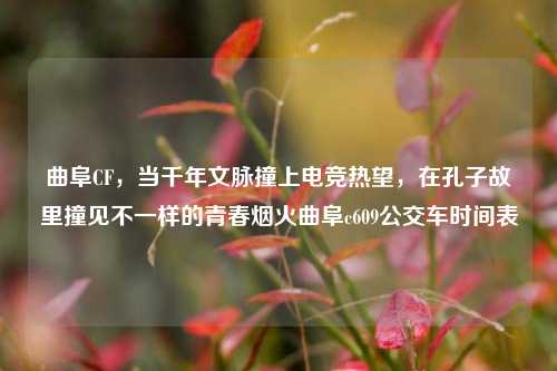 曲阜CF，当千年文脉撞上电竞热望，在孔子故里撞见不一样的青春烟火曲阜c609公交车时间表