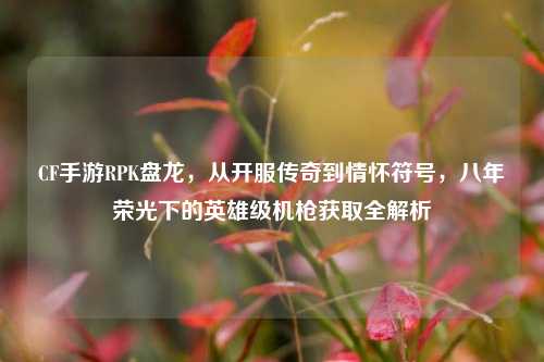 CF手游RPK盘龙,从开服传奇到情怀符号,八年荣光下的英雄级机枪获取全解析