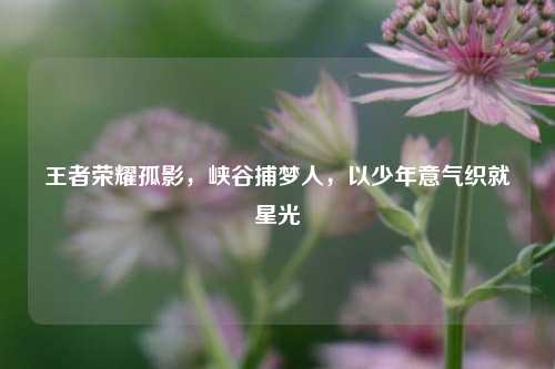 王者荣耀孤影,峡谷捕梦人,以少年意气织就星光