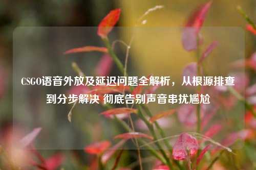 CSGO语音外放及延迟问题全解析，从根源排查到分步解决 彻底告别声音串扰尴尬