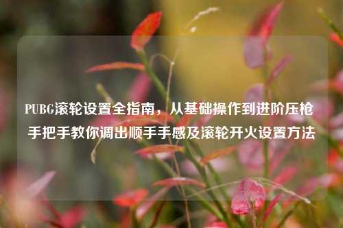 PUBG滚轮设置全指南，从基础操作到进阶压枪 手把手教你调出顺手手感及滚轮开火设置方法