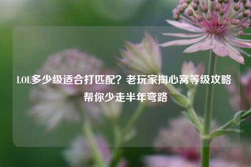LOL多少级适合打匹配？老玩家掏心窝等级攻略 帮你少走半年弯路