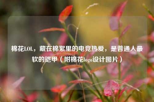棉花LOL，藏在棉絮里的电竞热爱，是普通人最软的铠甲（附棉花logo设计图片）