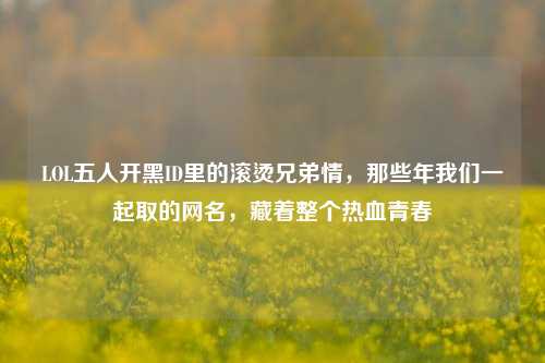 LOL五人开黑ID里的滚烫兄弟情，那些年我们一起取的网名，藏着整个热血青春