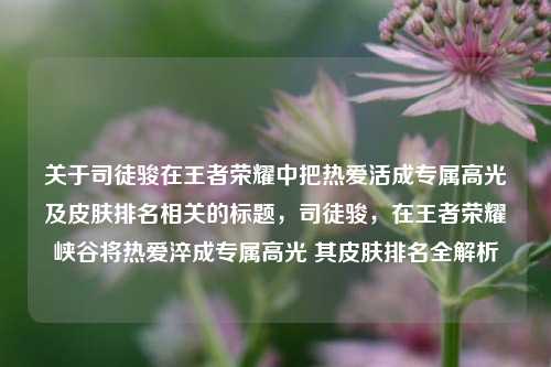 关于司徒骏在王者荣耀中把热爱活成专属高光及皮肤排名相关的标题,司徒骏,在王者荣耀峡谷将热爱淬成专属高光 其皮肤排名全解析