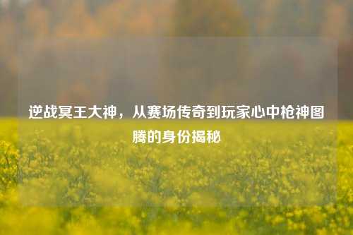 逆战冥王大神，从赛场传奇到玩家心中枪神图腾的身份揭秘