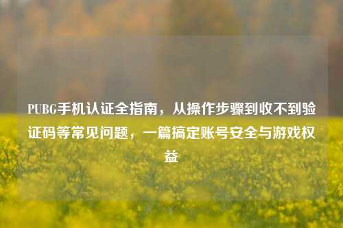 PUBG手机认证全指南，从操作步骤到收不到验证码等常见问题，一篇搞定账号安全与游戏权益