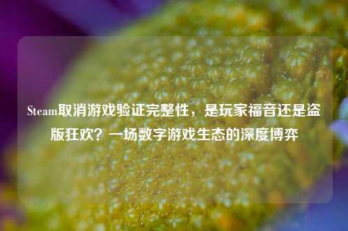 Steam取消游戏验证完整性，是玩家福音还是盗版狂欢？一场数字游戏生态的深度博弈