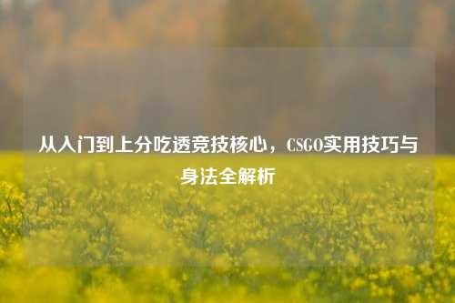 从入门到上分吃透竞技核心，CSGO实用技巧与身法全解析