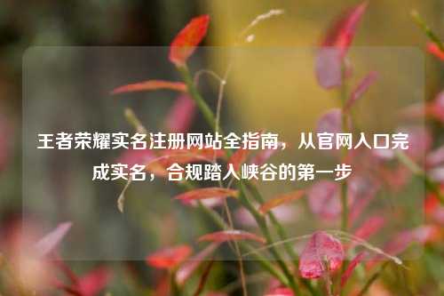 王者荣耀实名注册网站全指南，从官网入口完成实名，合规踏入峡谷的第一步