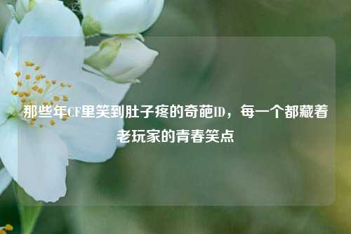 那些年CF里笑到肚子疼的奇葩ID，每一个都藏着老玩家的青春笑点