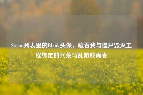 Steam列表里的Blank头像,藏着我与僵尸毁灭工程绑定的兵荒马乱游戏青春