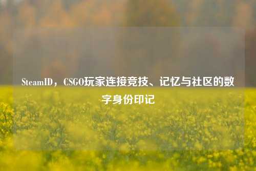 SteamID，CSGO玩家连接竞技、记忆与社区的数字身份印记
