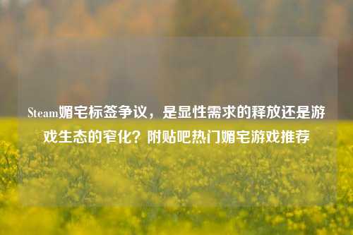 Steam媚宅标签争议，是显性需求的释放还是游戏生态的窄化？附贴吧热门媚宅游戏推荐