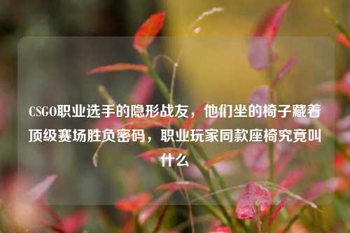 CSGO职业选手的隐形战友,他们坐的椅子藏着顶级赛场胜负密码,职业玩家同款座椅究竟叫什么