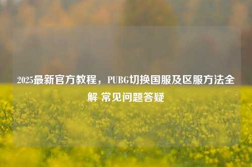 2025最新官方教程，PUBG切换国服及区服方法全解 常见问题答疑