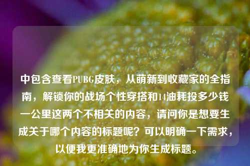中包含查看PUBG皮肤，从萌新到收藏家的全指南，解锁你的战场个性穿搭和14油耗投多少钱一公里这两个不相关的内容，请问你是想要生成关于哪个内容的标题呢？可以明确一下需求，以便我更准确地为你生成标题。