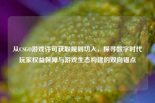 从CSGO游戏许可获取规则切入，探寻数字时代玩家权益保障与游戏生态构建的双向锚点