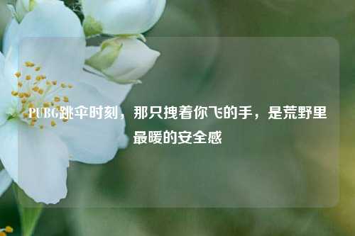 PUBG跳伞时刻,那只拽着你飞的手,是荒野里最暖的安全感