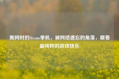 断网时的Steam单机,被网络遗忘的角落,藏着最纯粹的游戏快乐