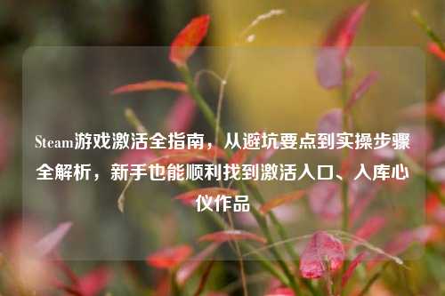 Steam游戏激活全指南，从避坑要点到实操步骤全解析，新手也能顺利找到激活入口、入库心仪作品