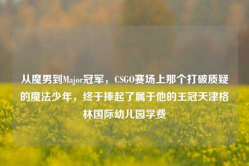 从魔男到Major冠军,CSGO赛场上那个打破质疑的魔法少年,终于捧起了属于他的王冠天津格林国际幼儿园学费