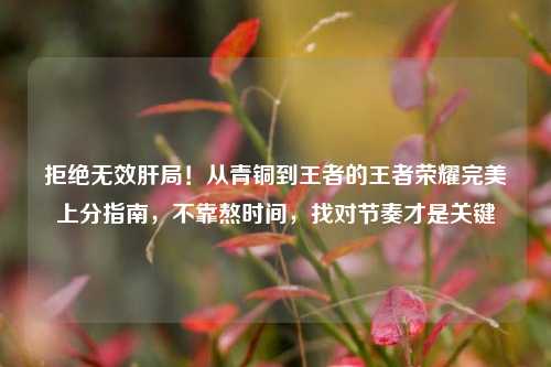 拒绝无效肝局!从青铜到王者的王者荣耀完美上分指南,不靠熬时间,找对节奏才是关键