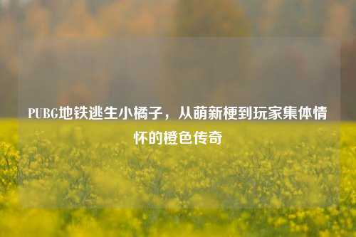PUBG地铁逃生小橘子，从萌新梗到玩家集体情怀的橙色传奇