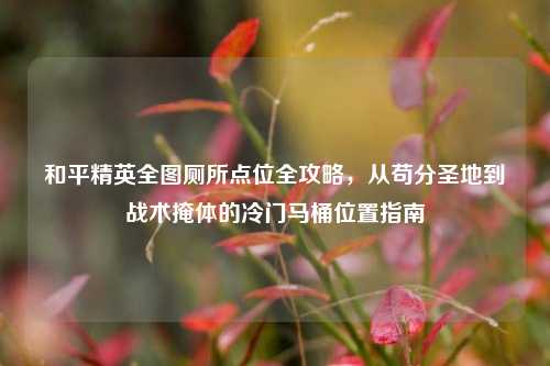 和平精英全图厕所点位全攻略,从苟分圣地到战术掩体的冷门马桶位置指南