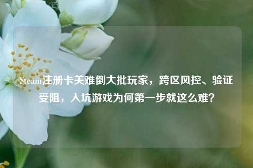 Steam注册卡关难倒大批玩家,跨区风控、验证受阻,入坑游戏为何第一步就这么难?