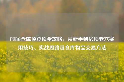 PUBG仓库顶登顶全攻略，从新手到房顶老六实用技巧、实战思路及仓库物品交易方法