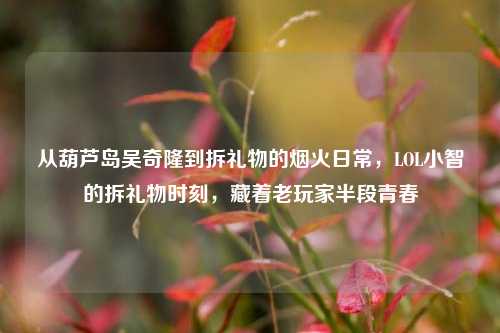 从葫芦岛吴奇隆到拆礼物的烟火日常,LOL小智的拆礼物时刻,藏着老玩家半段青春