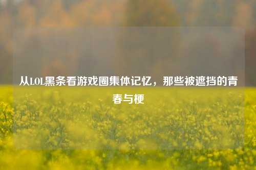 从LOL黑条看游戏圈集体记忆，那些被遮挡的青春与梗