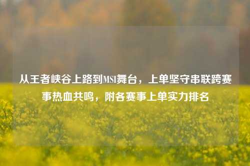 从王者峡谷上路到MSI舞台,上单坚守串联跨赛事热血共鸣,附各赛事上单实力排名