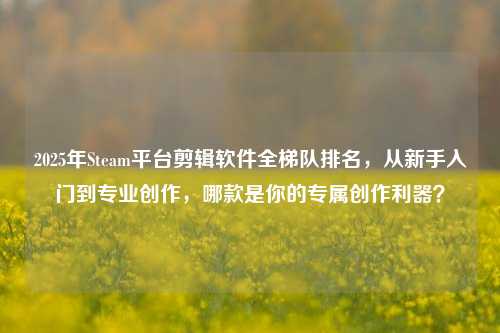 2025年Steam平台剪辑软件全梯队排名，从新手入门到专业创作，哪款是你的专属创作利器？