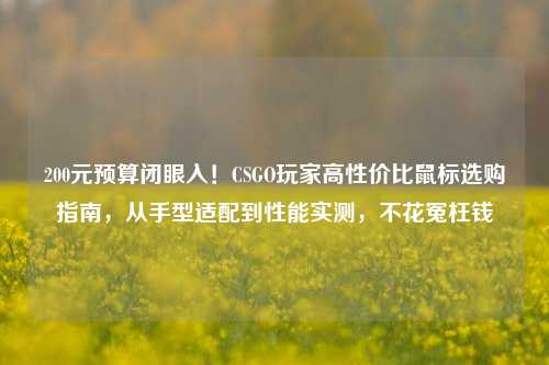 200元预算闭眼入!CSGO玩家高性价比鼠标选购指南,从手型适配到性能实测,不花冤枉钱