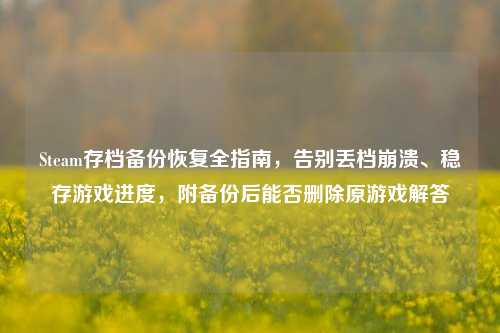 Steam存档备份恢复全指南,告别丢档崩溃、稳存游戏进度,附备份后能否删除原游戏解答