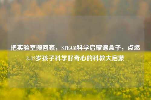 把实验室搬回家,STEAM科学启蒙课盒子,点燃3-12岁孩子科学好奇心的科教大启蒙