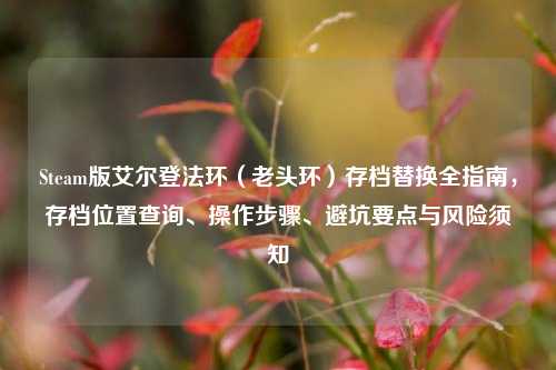 Steam版艾尔登法环(老头环)存档替换全指南,存档位置查询、操作步骤、避坑要点与风险须知