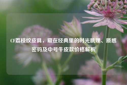 CF荔枝纹皮具,藏在经典里的时光肌理、质感密码及中号牛皮款价格解析